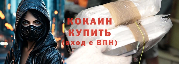 индика Нефтекумск
