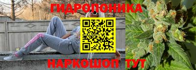 мдпв Аргун