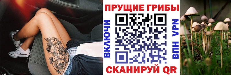 купить наркотики сайты  Березники  Псилоцибиновые грибы GOLDEN TEACHER 