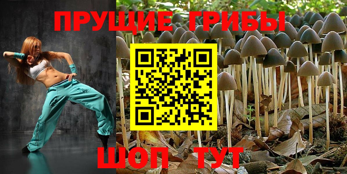 Березники  где найти   Вход с VPN  Галлюциногенные грибы мухоморы 