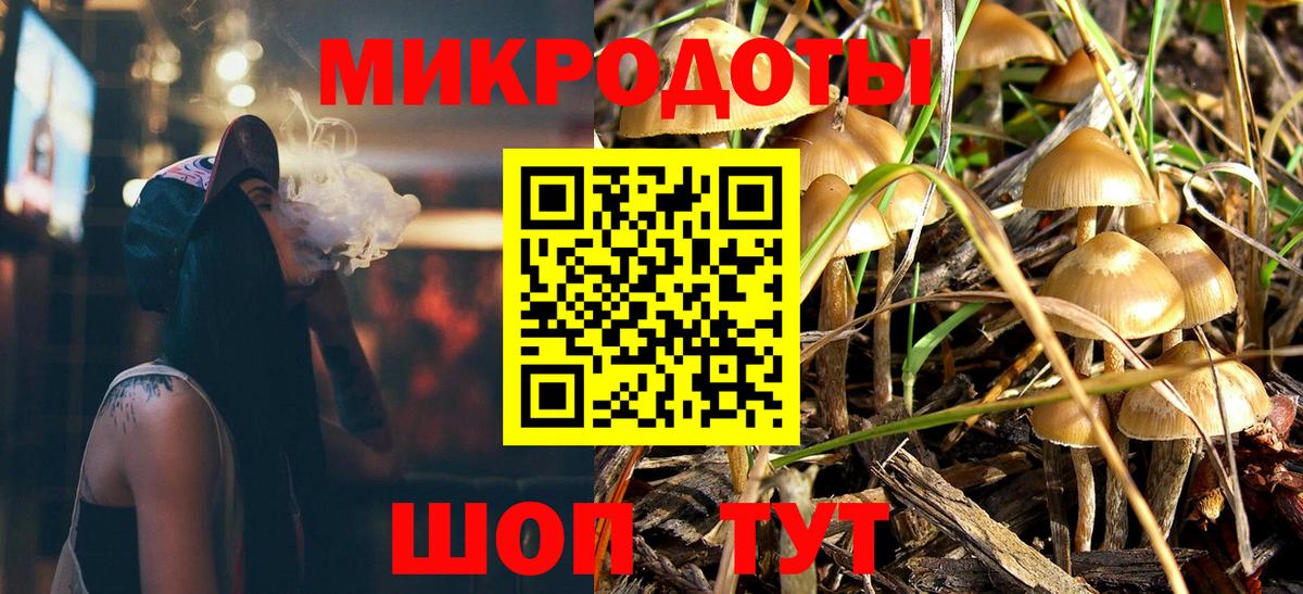 Псилоцибиновые грибы Cubensis Березники