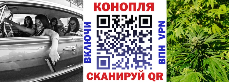 Бошки Шишки конопля Березники